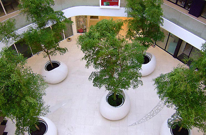 Demo image
