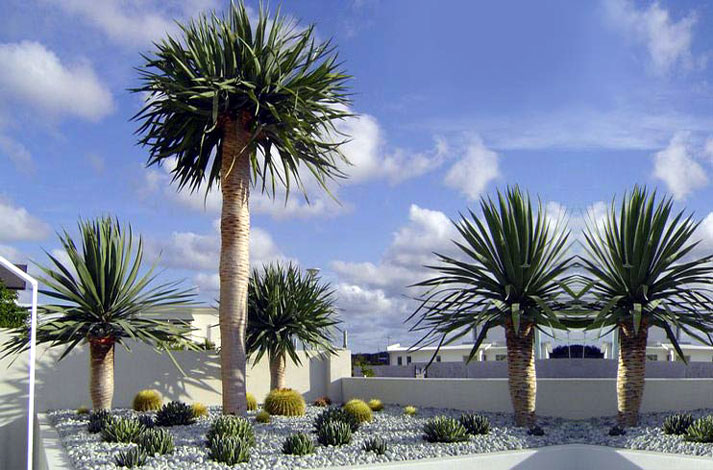 Demo image