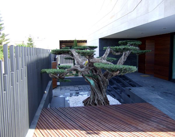 Demo image