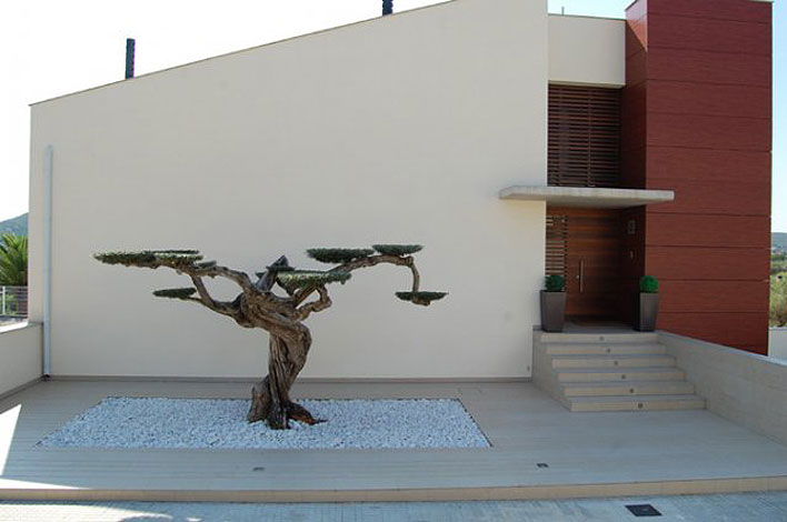 Demo image
