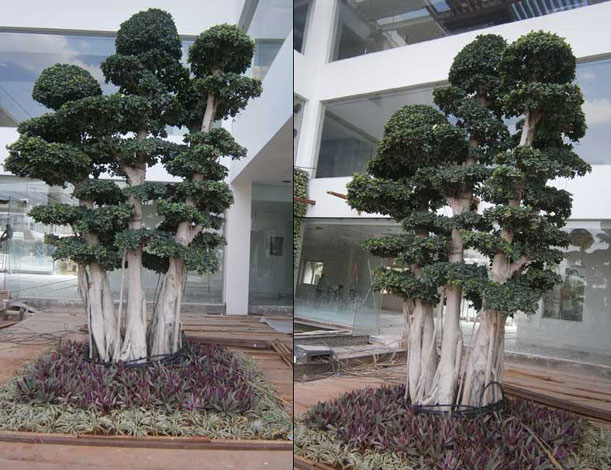 Demo image