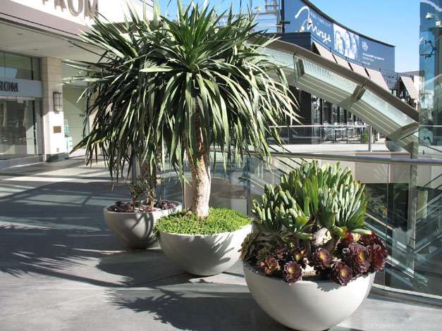 Demo image